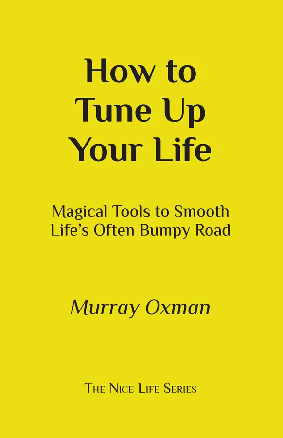 How To Tune Up Your Life - ebook