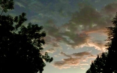 “Get Home Before Dark!”