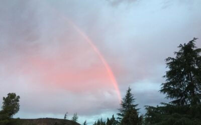 A Nice Realization About Chasing Rainbows!