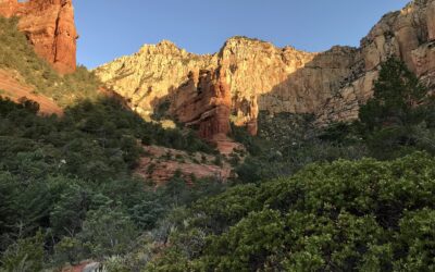 “Pausing Your Rushing Around & Slowing Down Your Life.”